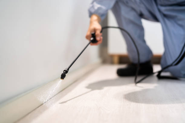 Bed Bug Pre-Treatment Preparation Assessment in Oak Hills Place