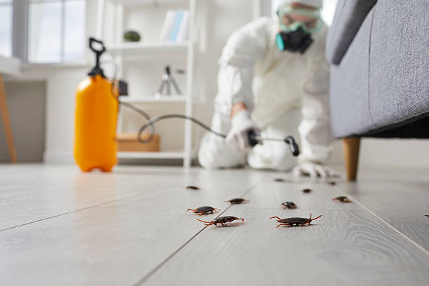 Post-Treatment Bed Bug Interceptor Monitoring in Oak Hills Place